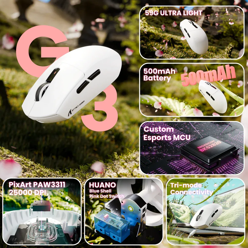 02_14b0e792-a482-470a-b883-2ccc233d78a6.webp