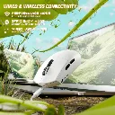 04.webp